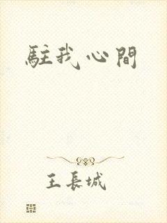 驻我心间