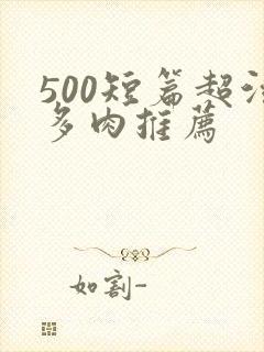 500短篇超污多肉推荐