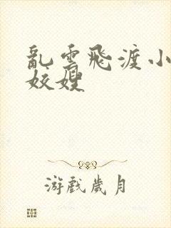 乱云飞渡小说之姣嫂