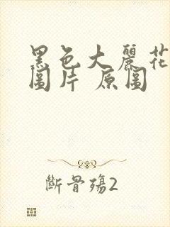 黑色大丽花真实图片 原图