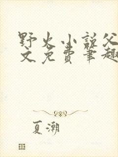 野火小说父女全文免费笔趣阁