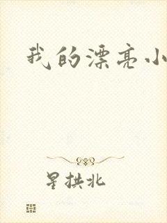 我的漂亮小后妈