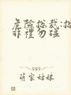 危险总裁:总裁非礼勿碰