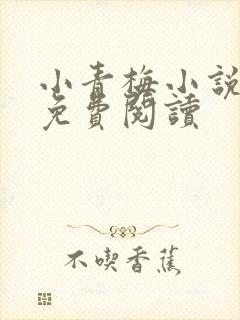 小青梅小说全文免费阅读