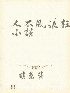 人不风流枉少年小说