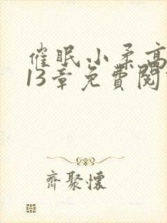 催眠小柔高达第13章免费阅读