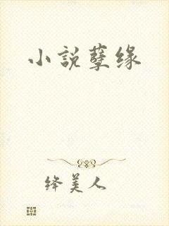 小说孽缘