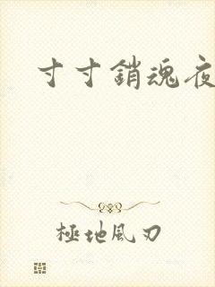 寸寸销魂夜春光