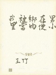 我被绑在男公厕里当肉便小说