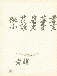 桃花扇落君不还小说免费完整版