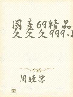 国产69精品久久久久999小说