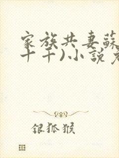 家族共妻苏苏(十千)小说免费