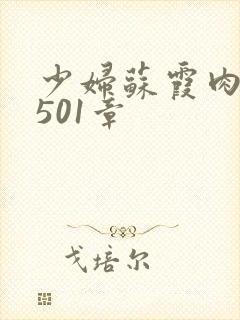 少妇苏霞肉欲第501章