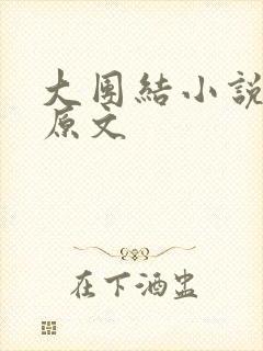 大团结小说阅读原文