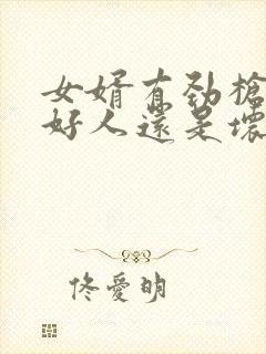 女婿有劲枪枪是好人还是坏人