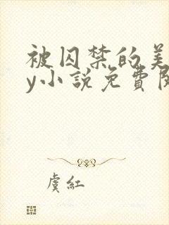 被囚禁的美人by小说免费阅读