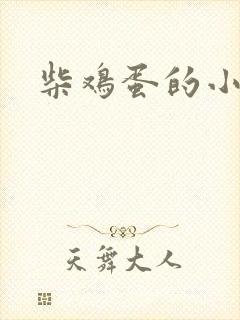 柴鸡蛋的小说