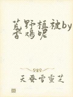 荒野植被by麦香鸡呢