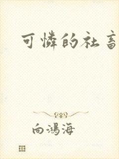 可怜的社畜分手