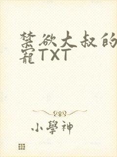 禁欲大叔的心尖宠TXT