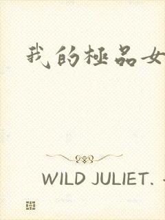 我的极品女老师