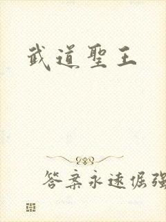 武道圣王