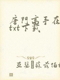 唐门高手在异世txt下载