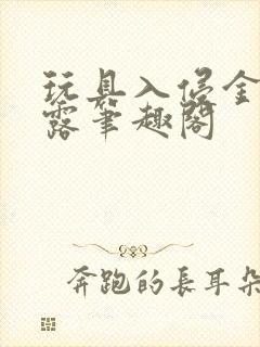 玩具入侵金银花露笔趣阁