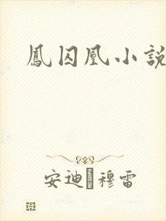 凤囚凰小说