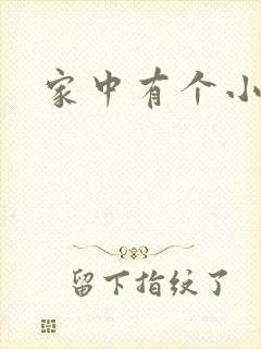 家中有个小姨子
