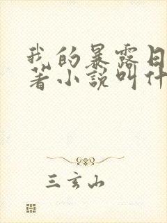 我的暴露日记原著小说叫什么