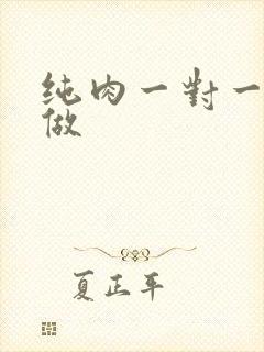 纯肉一对一到处做