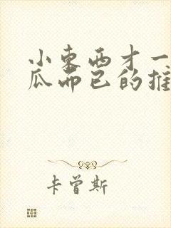 小东西才一根黄瓜而已的推荐书