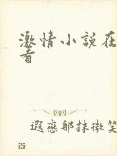 激情小说在线观看