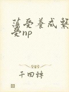 荡受养成系统总受np