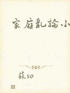 家庭乱论小说