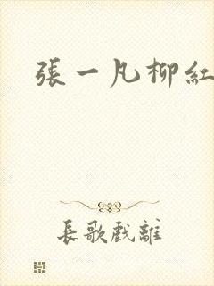 张一凡柳红
