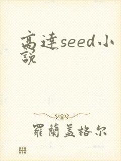 高达seed小说