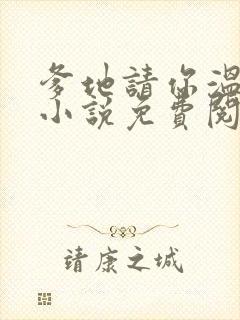 爹地请你温柔点小说免费阅读