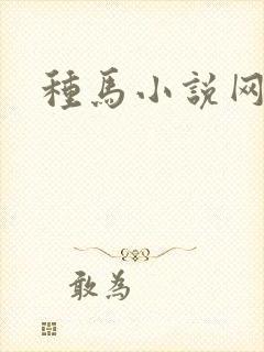 种马小说网