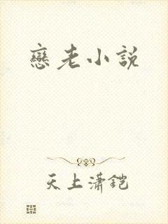 恋老小说