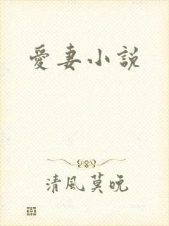 爱妻小说