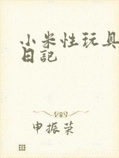 小米性玩具羞辱日记