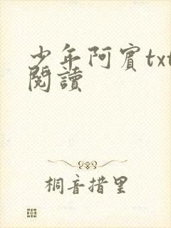 少年阿宾txt阅读