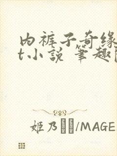 内裤子奇缘txt小说 笔趣阁