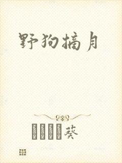 野狗摘月
