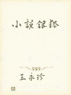 小说银狐