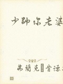 少帅你老婆
