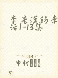 李老汉的幸福生活1-13集