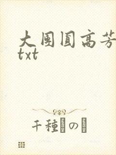 大团圆高芳小说txt